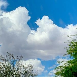 Meet your Posher, Savannna